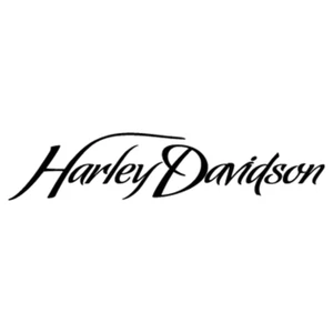 Script Harley Vinyl Decal Sticker Motorcycle Vehicle ANY Smooth Surface FREE S/H - Picture 1 of 1
