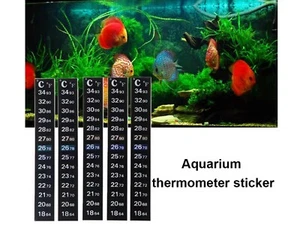 Tiras de temperatura ecológicas de 5 piezas multiusos para acuario, invernadero, terrario - Imagen 1 de 4