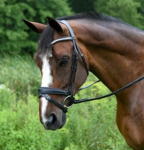 KL Select Red Barn Pace Dresage Snaffle Brida, Nariz de Flash, Cinta para Cejas de Cristal - Imagen 1 de 1