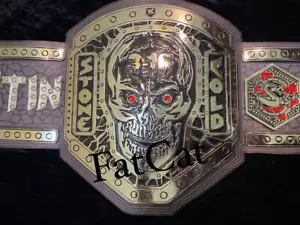 New Austin Stone Wrestling Championship Belt Replica High Quality - Picture 1 of 4
