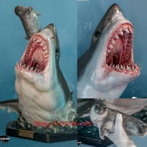 Infinity Studio Museum004 Carcharodon carcharias 29.5in Model Statue In Stock - Picture 1 of 12