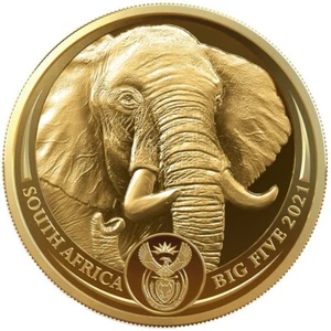 1/4 oz 50 Rand Südafrika Goldmünze Big Five II. - Elefant 2021 PP Zertifikat,Box - Bild 1 von 3