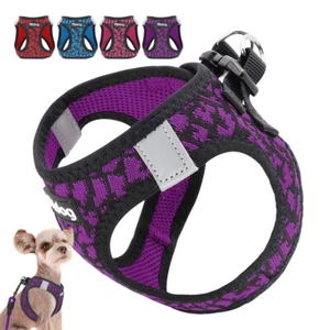 Soft Breathable Mesh Small Dog Vest Harness for Puppy Cat Pet Chihuahua Yorkie - Picture 1 of 16