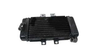 Piaggio NRG 50 1996 1999 Water Cooling Radiator - Picture 1 of 16