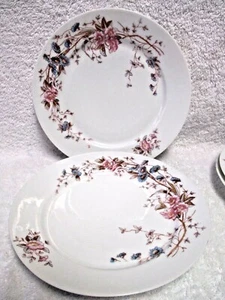 Karlsbad Marx & Gutherz Speiseteller 9 1/2" Österreich rosa und blaue Blumen Set 2 - Bild 1 von 6