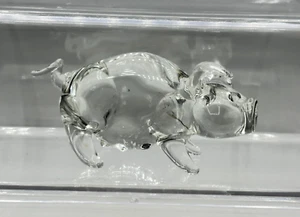 Blown Glass Clear Pig Hand Made Figurine - Picture 1 of 15