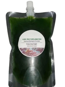 Phytoplankton 500-1500ml Fresh Nannochloropsis Microalgae Marine Aquarium Food - Picture 1 of 2