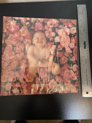 Anne Geddes Photo Album Baby Flowers 200 pictures Book Pink Roses - Image 1 of 4