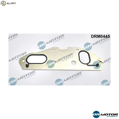 JUNTA ENFRIADOR DE ACEITE DRM0445 PARA VW AUDI A4/S4/Convertible A5/S5/Sportback Q5/SUV Foto 1 de 4