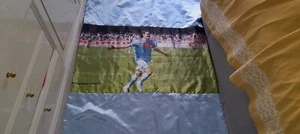 coperta trapuntata in raso azzurro raffigurante CAVANI calcio Napoli cm 140x100 - Foto 1 di 6