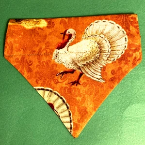 Überhalsband Slide On Hund Katze Bandana Schal THANKSGIVING TURKEY SMALL/MED - Bild 1 von 1