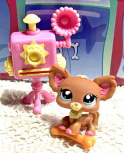 LITTLEST PET SHOP AUTHENTIC COCO PINK ACCENTS CHIHUAHUA DOG #1623 & ACCESSORIES