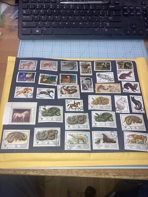 31 estampillas de colección de animales/serpientes de la URSS 1964-1988. Cancelado/HR. Envíos de $1. UN LOOK DE OFERTA Foto 1 de 4