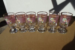 c.1970 BECHERGLAS 6x FUSSBECHER KELCHGLAS Teeglas Pokalglas floral + rosa bemalt - Picture 1 of 15