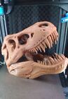 T-Rex Tyranozaur Replika czaszki Dinozaur [Malowany][BRĄZOWY]