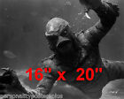 Creature From The Black Lagoon~Game Room~Photo~Sci-Fi~CU~Poster 16" x  20"
