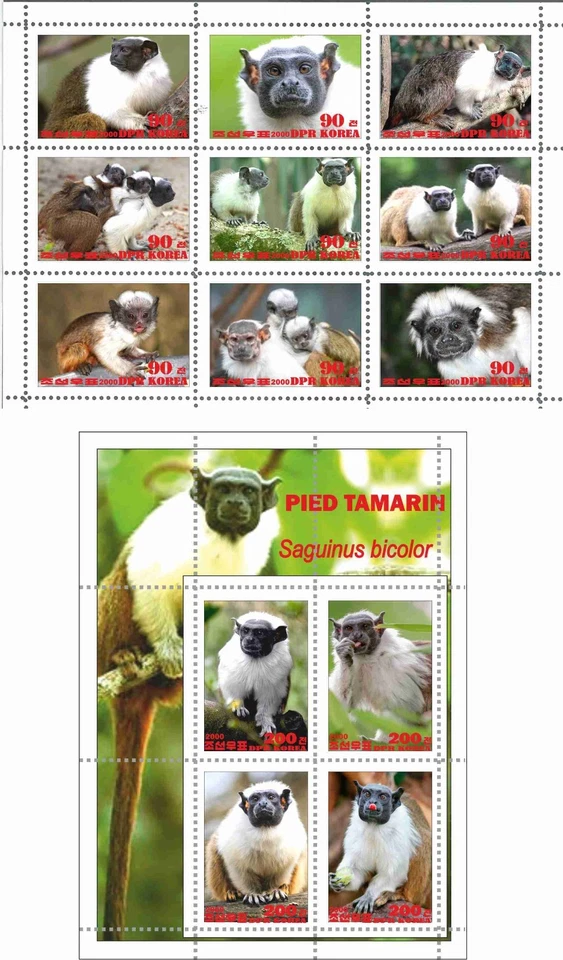 Stamp sheet+block Pied Tamarin 2020 Korea issue Monkeys - Image 1 of 1
