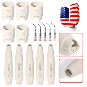 1-10 Dental Ultraschall Piezo Scaler Spitzen Handstück Drehmomentschlüssel passend für DTE SATELEC - Bild 1 von 23