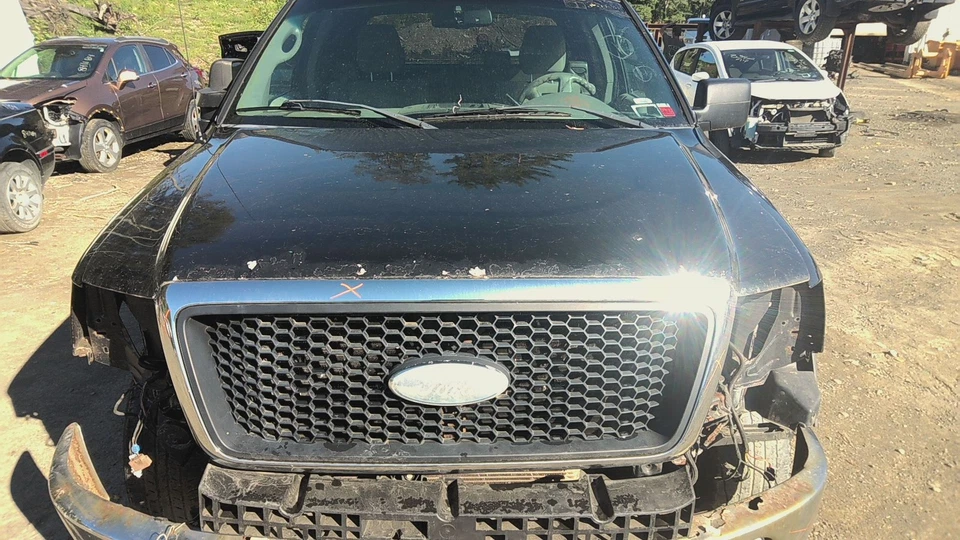 08 FORD PICKUP F150 Hood (No Shipping) Foto 1 de 4
