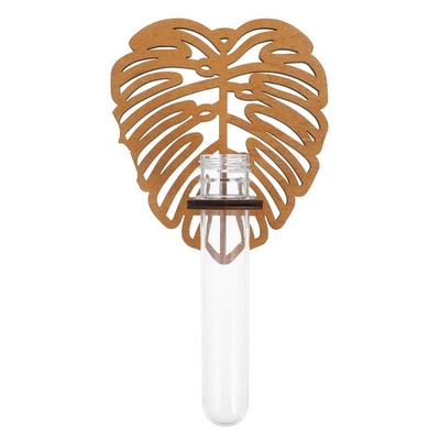  Reagenzgläser Für Blumen Wandmagnierte Pflanzer Übertopf Zum Aufhängen Der - Bild 1 von 4