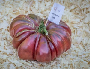 TOMATE MARRÓN ZAPOTEC, 50 semillas + TOMATE NEGRO GRATIS - Imagen 1 de 1