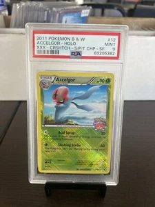 PSA 9 Pokemon Championship Series STAFF Promo Crosshatch Accelgor 12/101 MINT!! - Picture 1 of 2