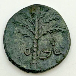 132-135 AD Ancient Judaea 2nd Revolt Issue Bar Kochba AE 22 Vine Leaf Palm Tree - Picture 1 of 2
