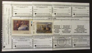 RW60 - 1993 Federal Duck Stamp on Texas Hunting License + State Duck & Saltwater - Picture 1 of 2