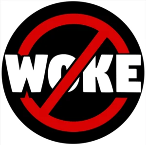 Anti Woke Kampf dem Wokismus Vinyl-Aufkleber Sticker für Auto wetterfest 10cm - Picture 1 of 1