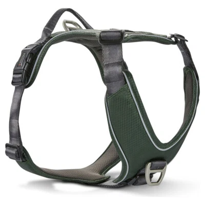 Wolters Active Pro Comfort Hundegeschirr grün/anthrazit leicht atmungsaktiv Top