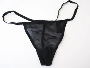 NEW Victoria's Secret VTG 2016 Sheer 100% Silk V-String Thong Panties ONE SIZE - Picture 1 of 7