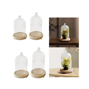 Cloche Glass Dome Display Bell Jar Transparent Cover Wooden Base for Antique - Picture 1 of 29
