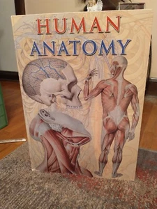 Large Human Anatomy & Physiology Book - Approximately 24"T x 17"w - Picture 1 of 3