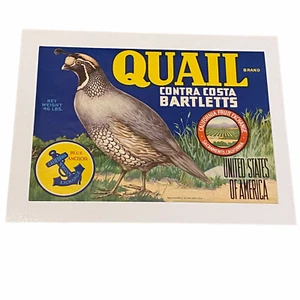 Label Quail Brand Contra Costa Bartletts California Fruit Exchange Sacramento - Picture 1 of 5