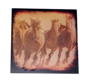 Pferd frei geboren 8" x 8" Holz Plakette Schild für Zuhause, Höhle, Büro, Scheune, Flur - Bild 1 von 1