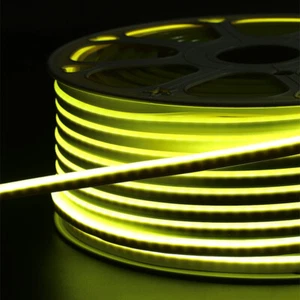 Neon LED Strip Lights 12V 24V Waterproof Dimmable Flexible for Room Floor Garden - Picture 1 of 13