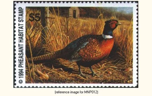 D2K Minnesota Pheasant Stamp 1994 $5.00 - Image 1 of 1