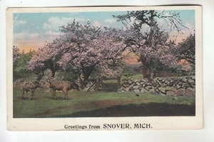 Kuhgrüße aus Snover MI 112675 - Bild 1 von 1