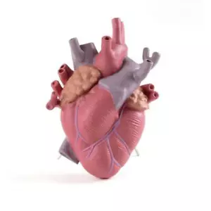 SELETTI vaso a forma di cuore LOVE IN BLOOM COLOR colorato - Imagen 1 de 7