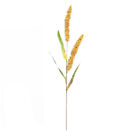  Artificial Wheat Stems Picks Simulated Ears of Corn Desktop
