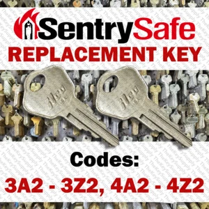 2 Sentry Safe Replacement Keys Cut To Your Code 3A2-3Z2 / 4A2-4Z2 - Picture 1 of 1