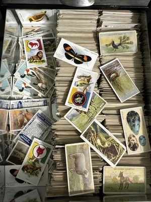 Lote de 10 tarjetas de animales aleatorios (zoo+) años 20’s-30’s VARIEDAD 🦋🐐🐍🐝🦅🐟🦆🐞🐅 Foto 1 de 4