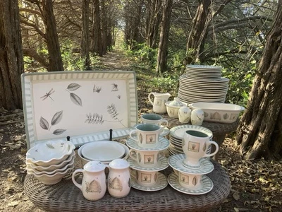 Pfaltzgraff Naturewood 61 Piezas Juego de Platos Platos Tazas Platos Mezcla Lote Foto 1 de 4