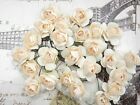 SHADES TEA ROSES - IVORY - 24 Pack PAPER 2cm Across - Wire Stems 6-7cm MH ConARf