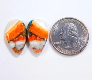 100% Natural Kingman Spiny Oyster Turquoise Pair Pear Cabochon Gemstone BU=160 - Imagen 1 de 5
