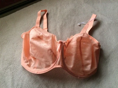 FREYA 38M  Nectar Fancies Balcony Plunge Underwire Bra Style 1012 NWOT - Image 1 of 4