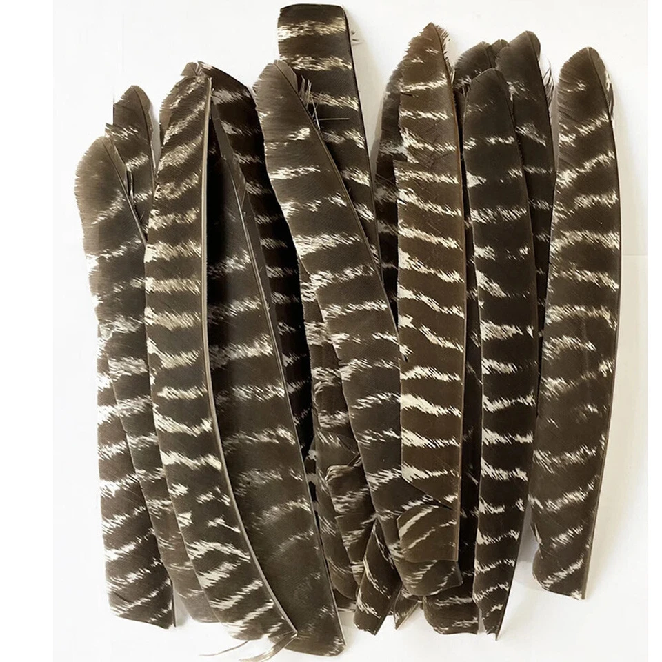 Full Length Arrow Feathers Turkey Fletches Fletching RW LW Archery Shaft DIY - Image 1 of 4