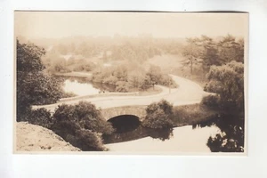 Einzigartiges echtes Foto Postkarte Brücke Blick in Franklin Park Boston MA - Bild 1 von 2