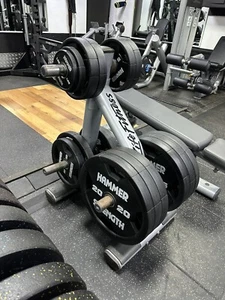LIFE FITNESS OLYMPIC WEIGHT PLATE STORAGE RACK / TREE 50mm - 2 inch WEIGHTS UK - Picture 1 of 7