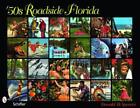 Donald D. Spencer '50S Roadside Florida (Poche)